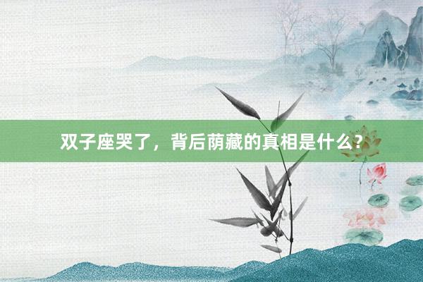 双子座哭了，背后荫藏的真相是什么？