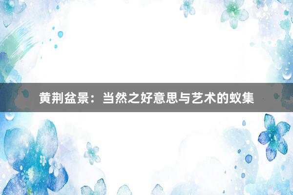黄荆盆景：当然之好意思与艺术的蚁集